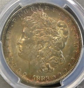 Super Toned Morgan Dollar